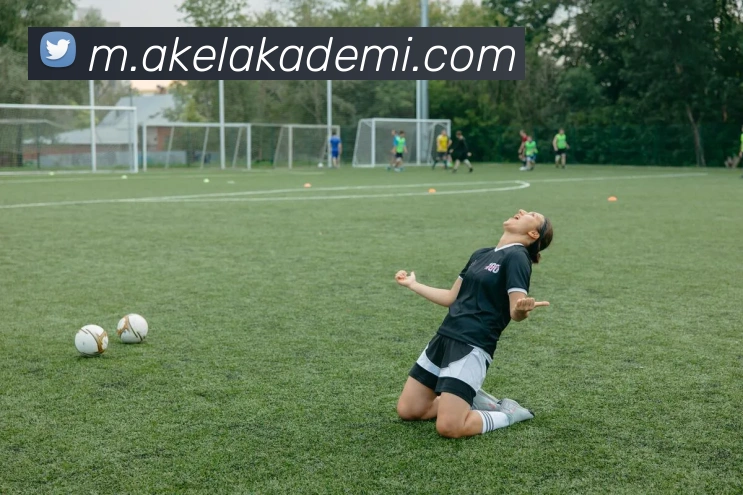 世界杯下单网站APP 封面图